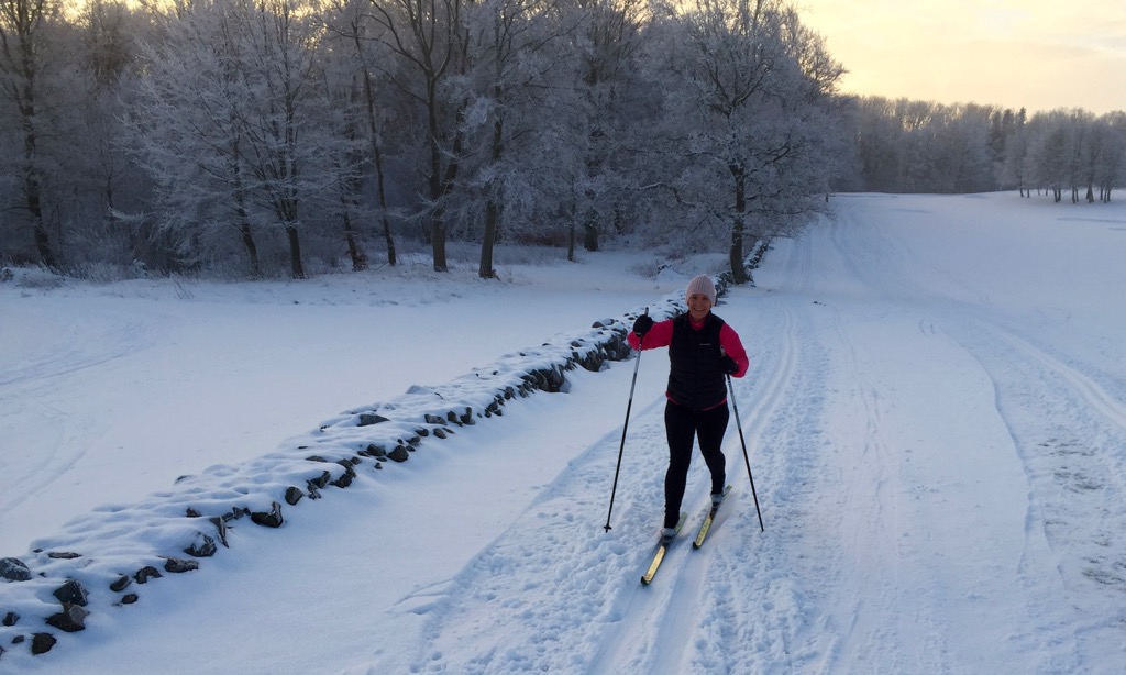 Längskidor Romeleåsens golfklubb