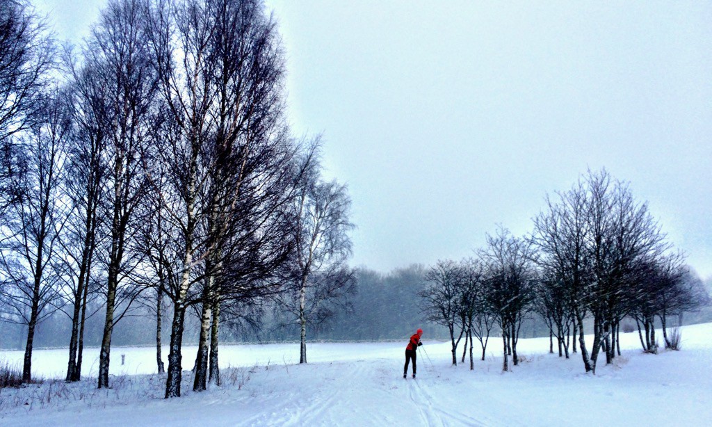 Längdskidor Romeleåsen