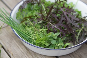 sallad och örter i skål
