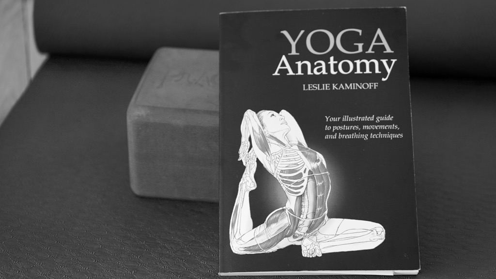 Global yoga_yoga anatomy