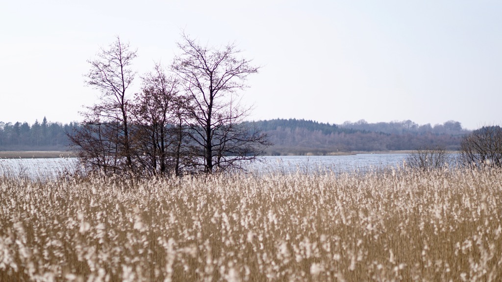 Krankesjön