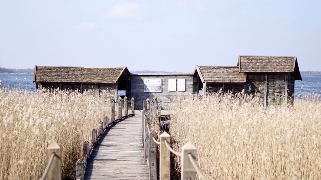 Fågelhus Krankesjön