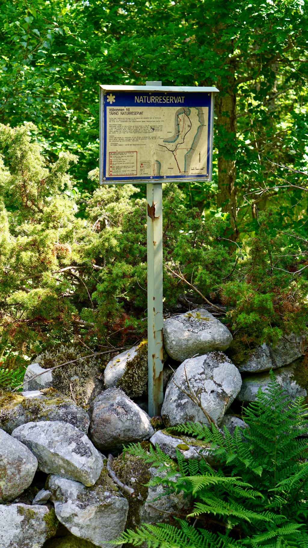 Tärnö naturreservat